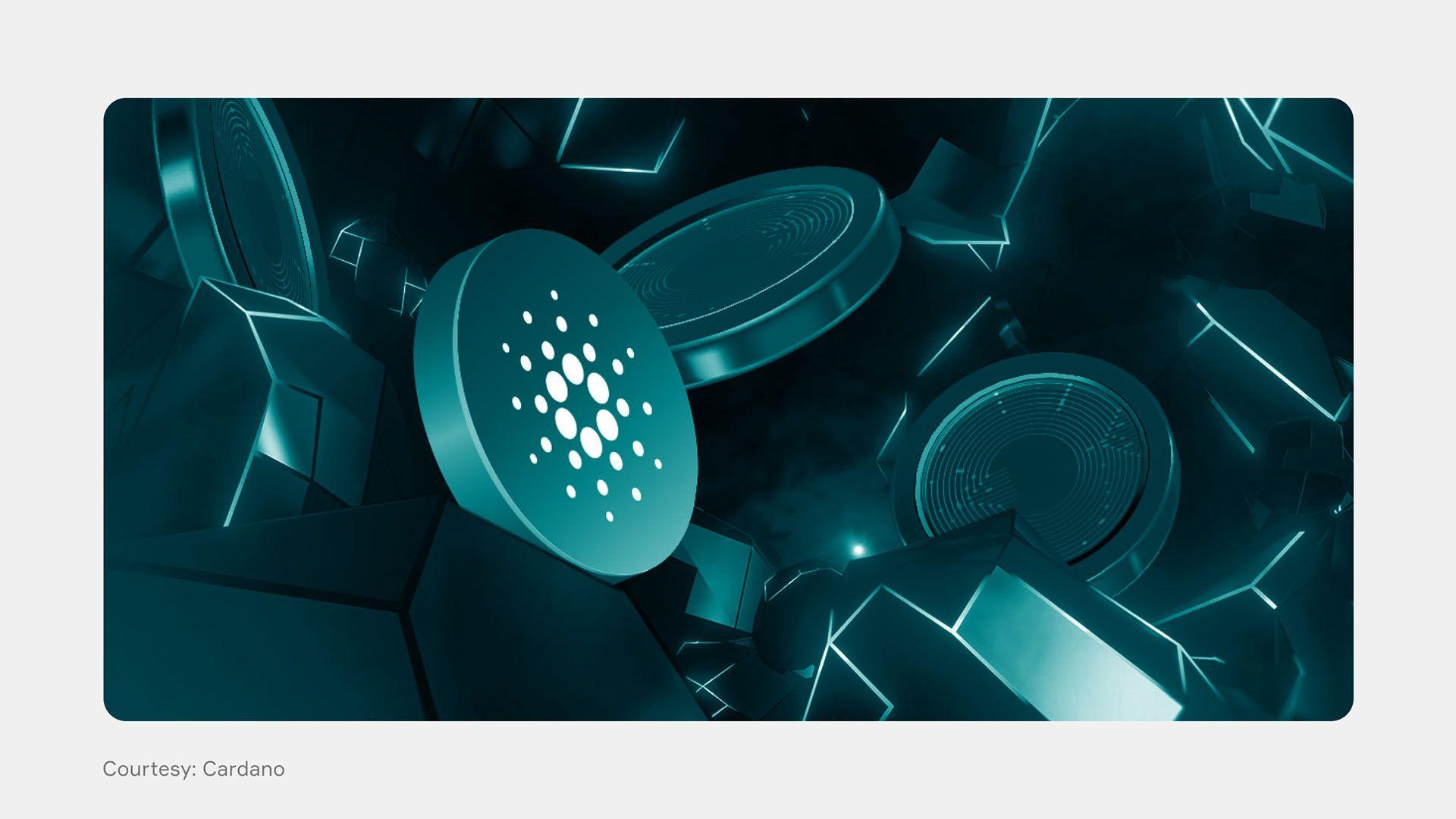 Cardano Network Coins