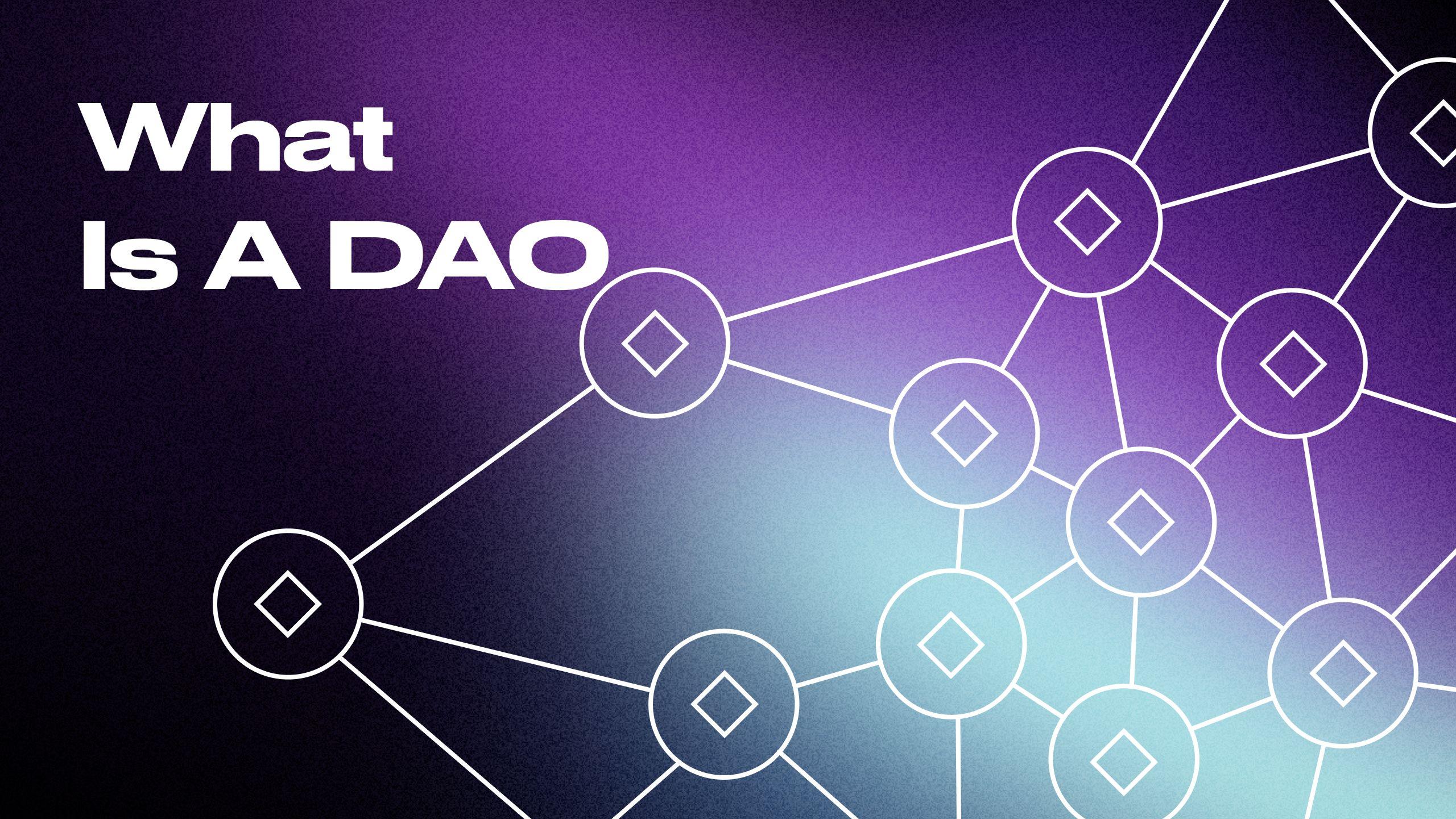 What Is A DAO Explained